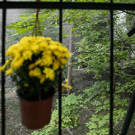 Natalie'S Home ベオグラード エクステリア 写真